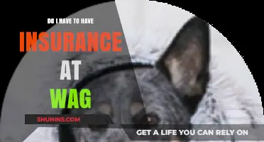 Do I Need Insurance to Work at Wag? Essential Coverage Explained