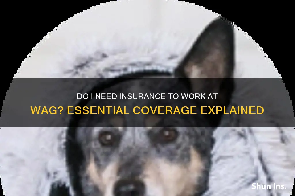 do i have to have insurance at wag