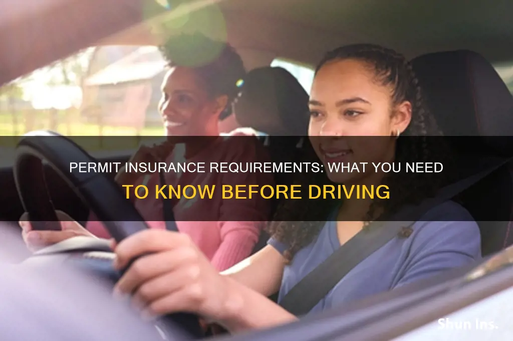 do i have to have insurance with a permit