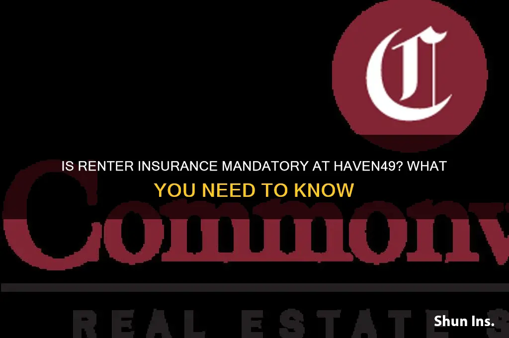 do i have to have renter insurance at haven49
