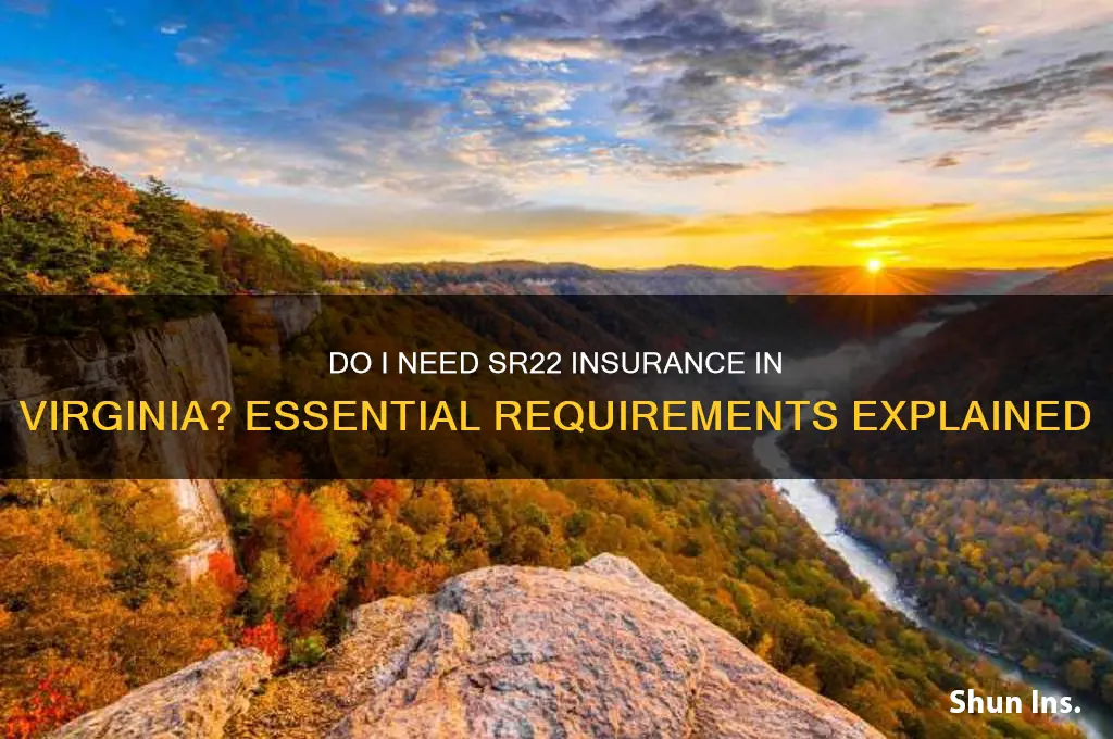 do i have to have sr22 insurance in virginia