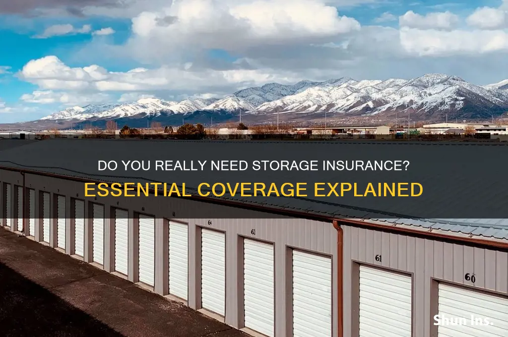 do i have to have storage insurance