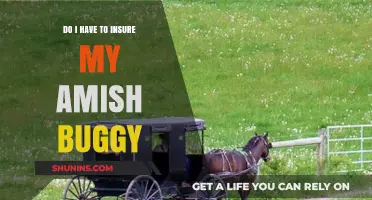 Amish Buggy Insurance: Legal Requirements and Coverage Options Explained