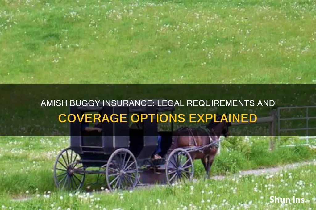 do i have to insure my amish buggy