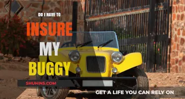 Do I Need Insurance for My Buggy? Essential Coverage Explained