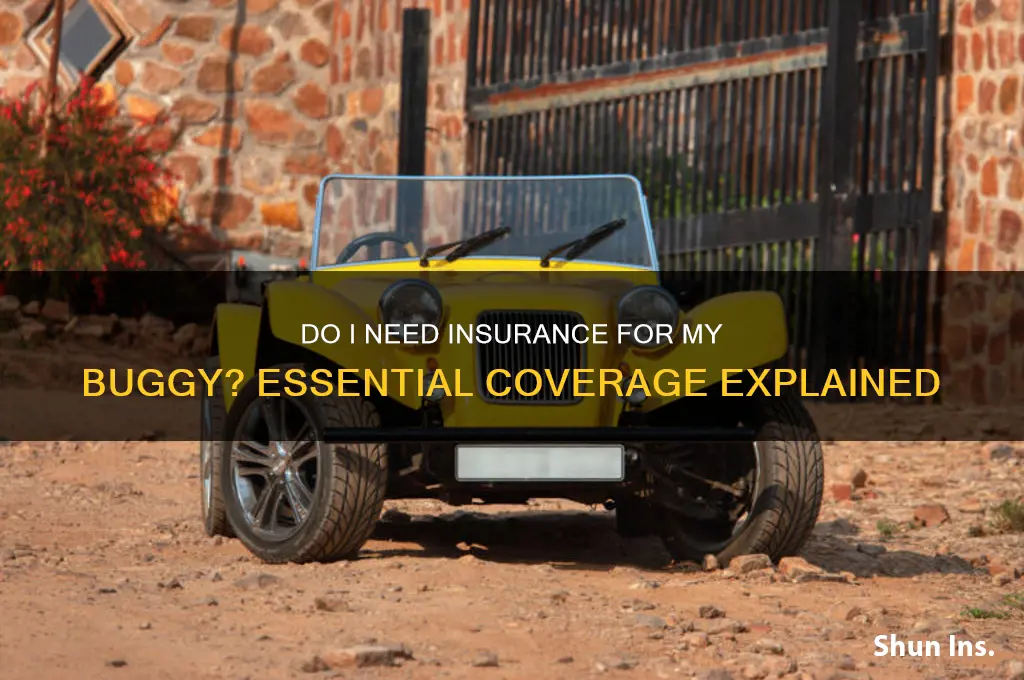 do i have to insure my buggy