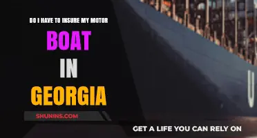 Georgia Motor Boat Insurance: Is It Mandatory for Your Vessel?