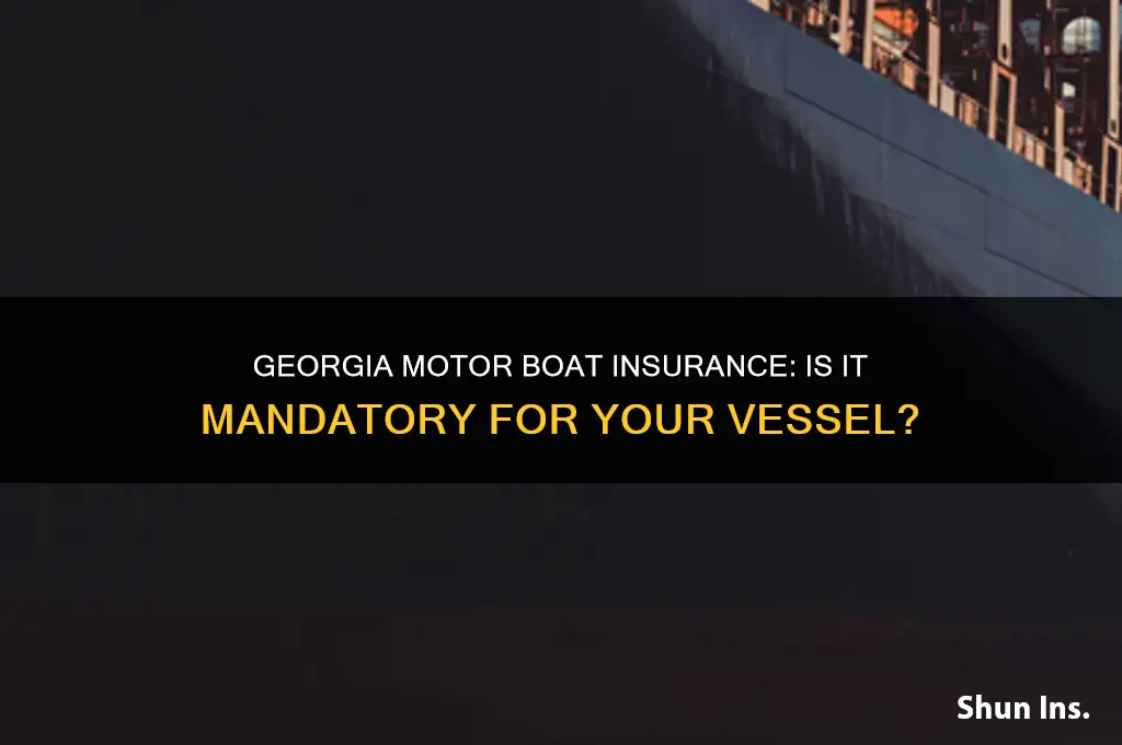 do i have to insure my motor boat in georgia