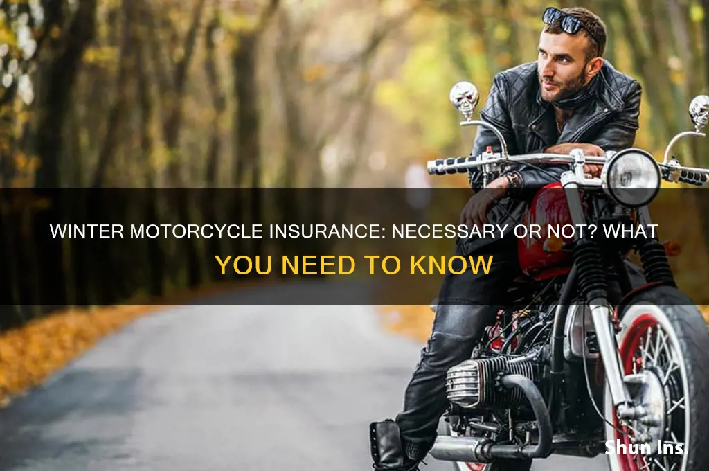 do i have to insure my motorcycle in the winter