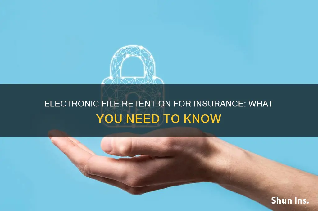 do i have to keep electronic files for insurance
