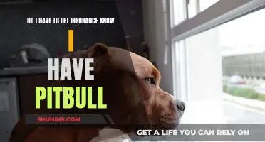 Pitbull Ownership: Navigating Insurance Requirements and Responsibilities