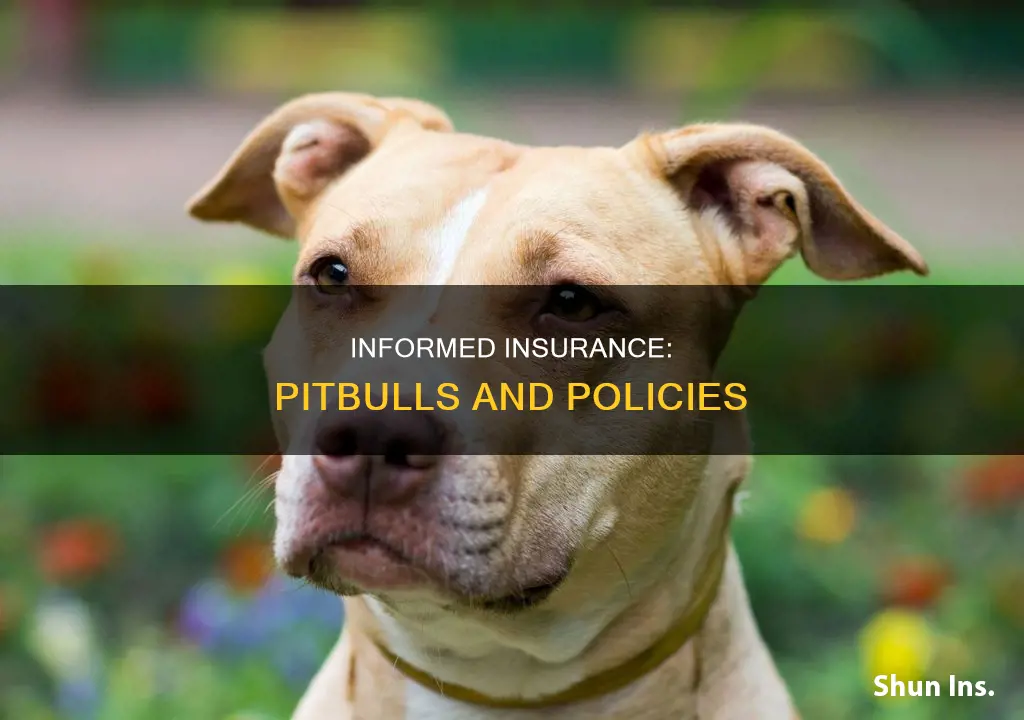 do I have to let insurance know I have pitbull