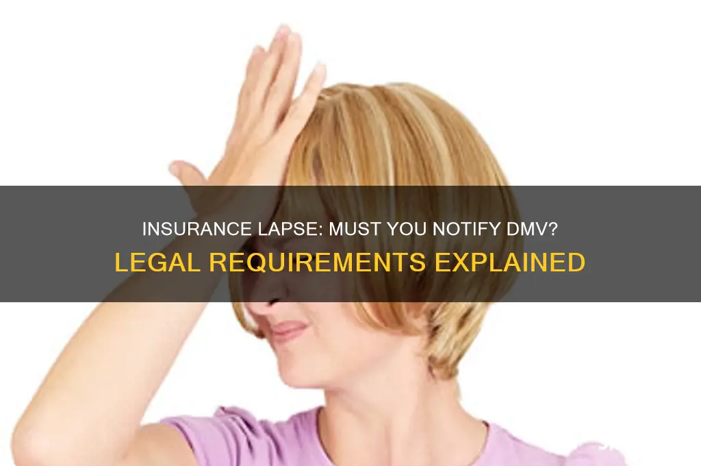 do i have to notify dmv if insurance lapses