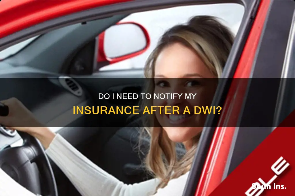 do i have to notify my insurance of dwi