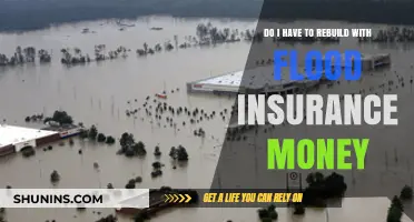 Flood Insurance Money: Rebuild or Reinvent?