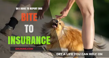 Dog Bite: When to Report to Insurance?