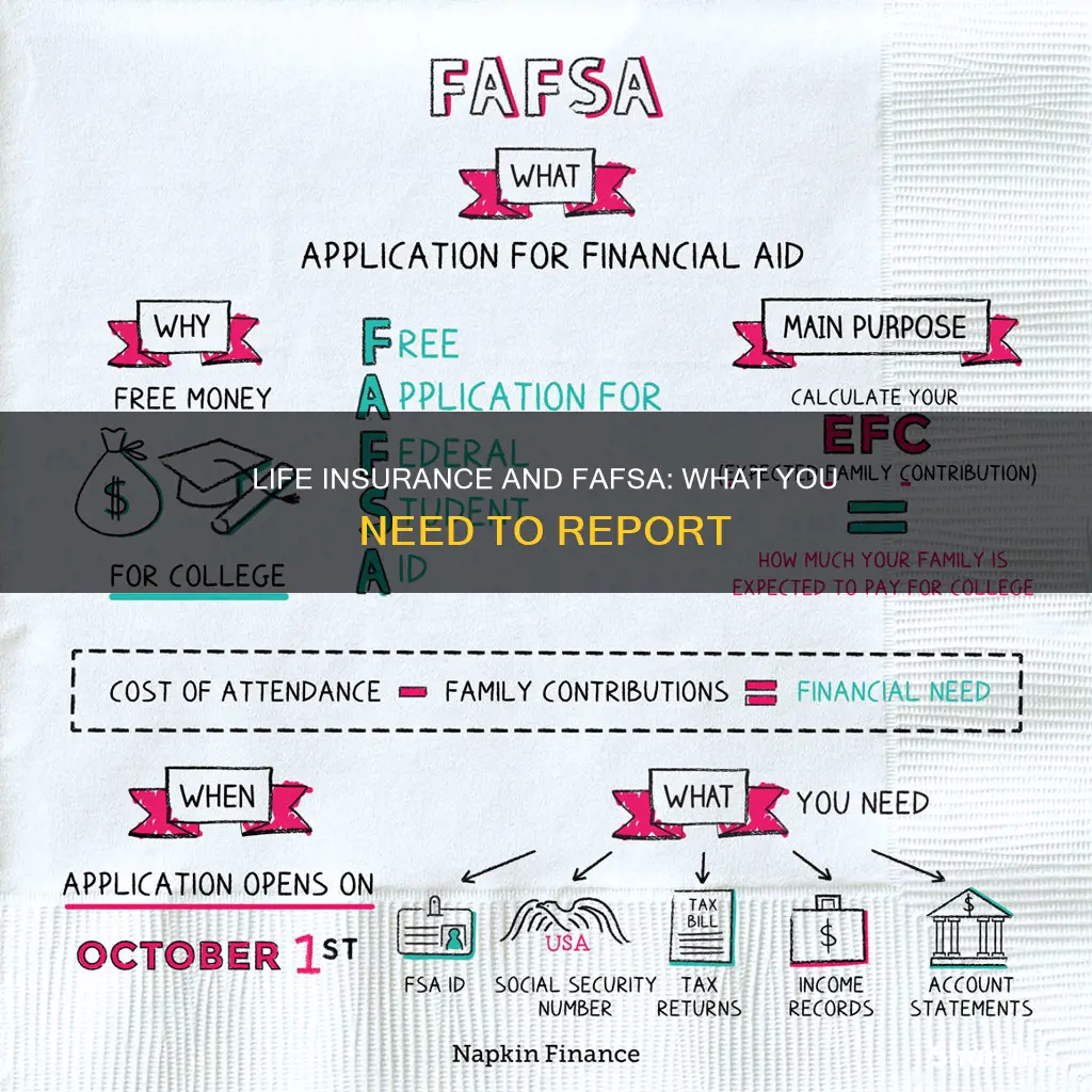 do I have to report life insurance on fafsa