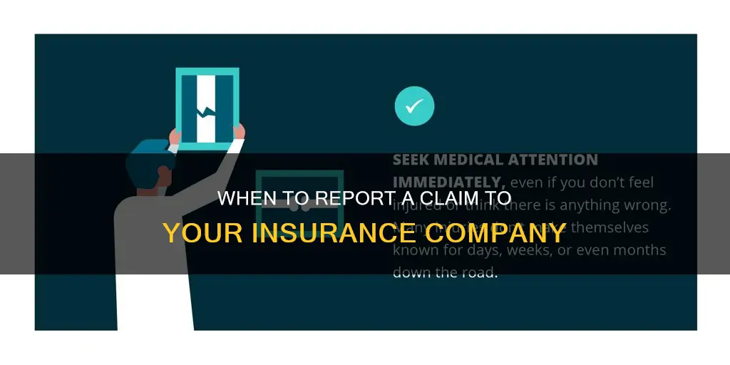 do I have to report to insurance immediately