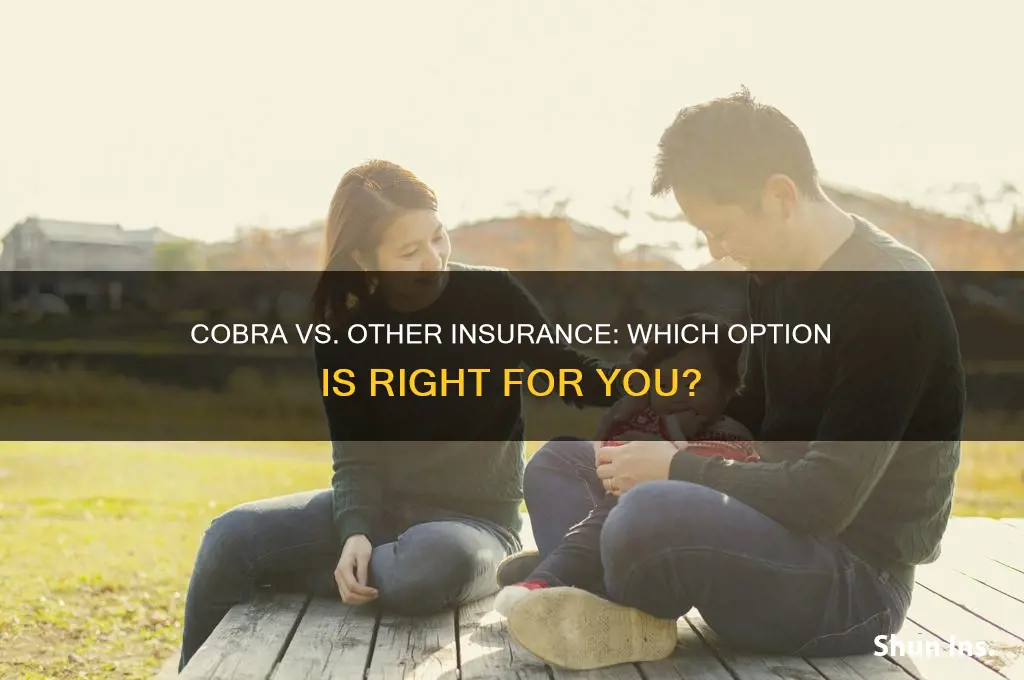 do i have to to cobra and another insurance