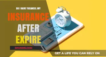 Expired Insurance Policy: Should You Cancel or Renew?