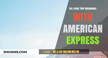 Does Your American Express Card Include Trip Insurance? Find Out Here