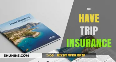 Do I Have Trip Insurance? Understanding Your Travel Coverage