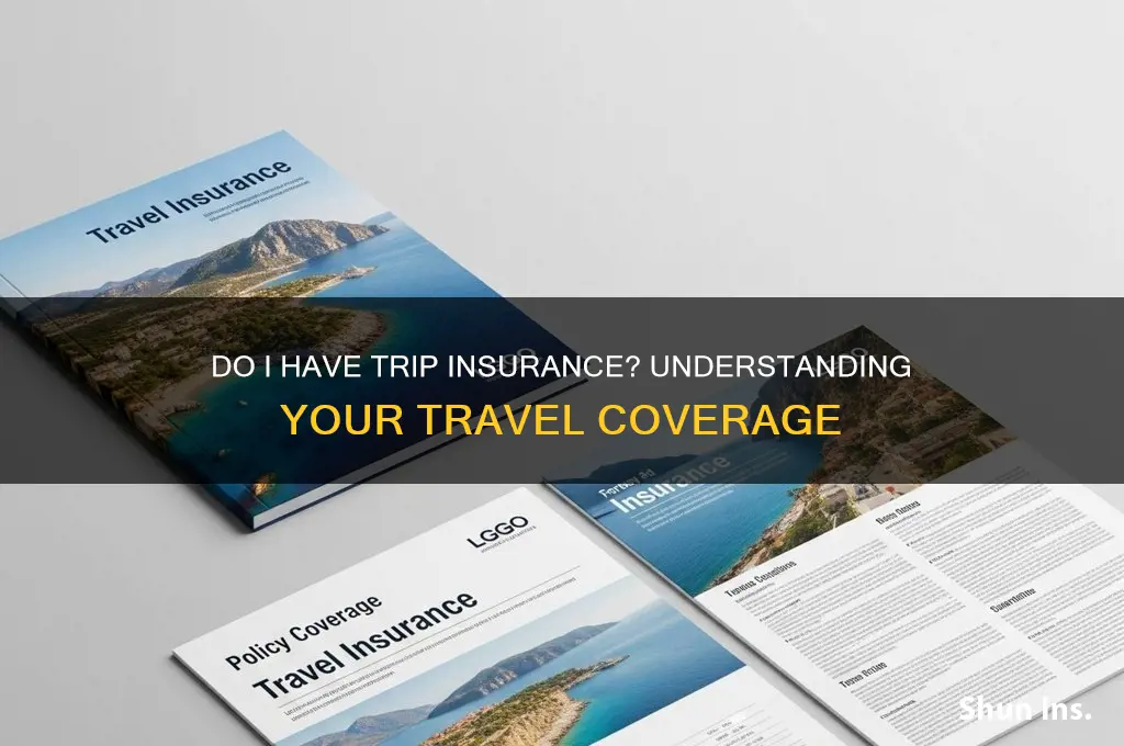 do i have trip insurance