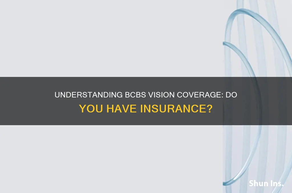 do i have vision insurance bcbs