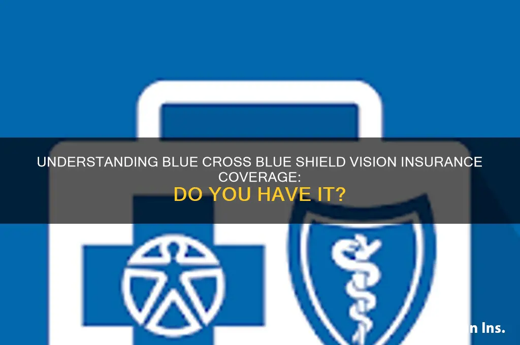 do i have vision insurance blue cross blue shield