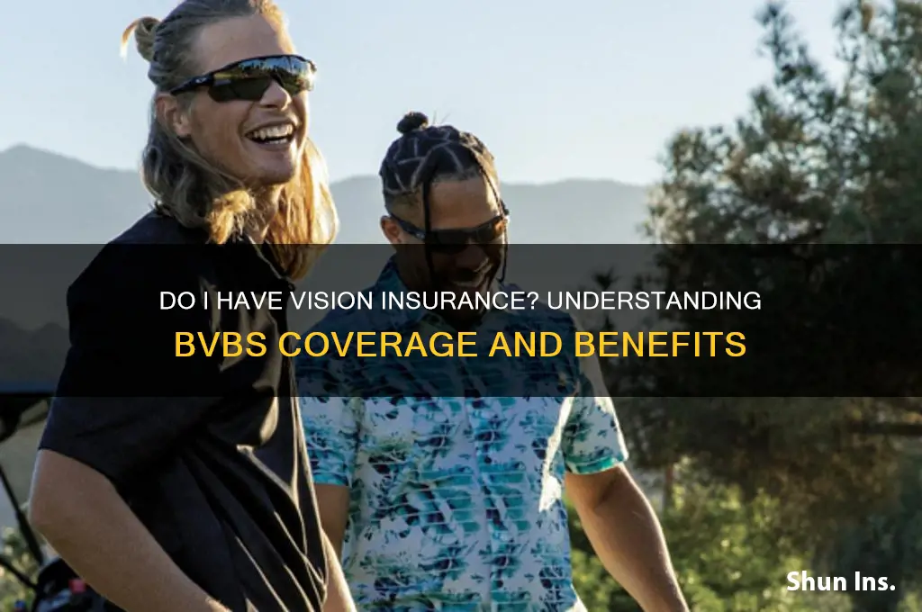 do i have vision insurance bvbs