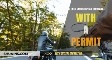 Motorcycle Insurance with a Permit: Do You Really Need It?