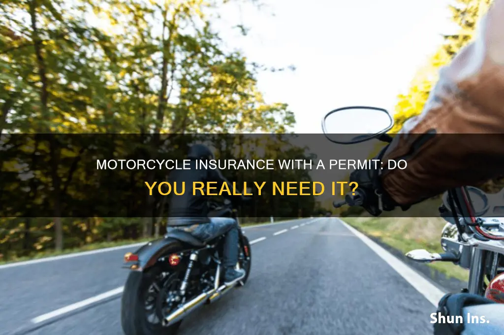 do i nee dmotorcycle insurance with a permit
