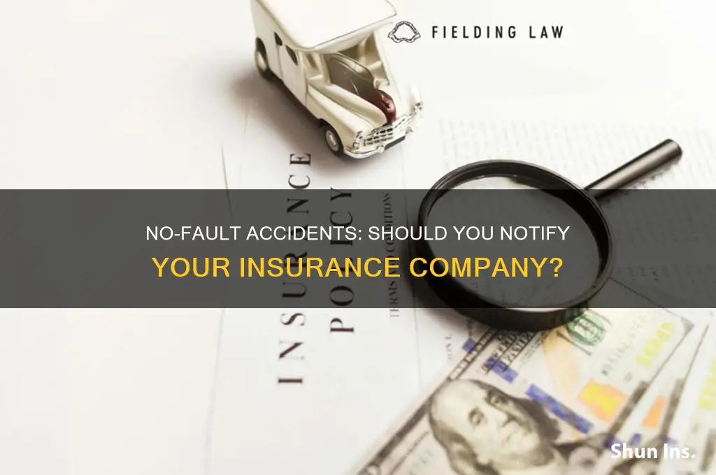 do i notify my insurance at no fault