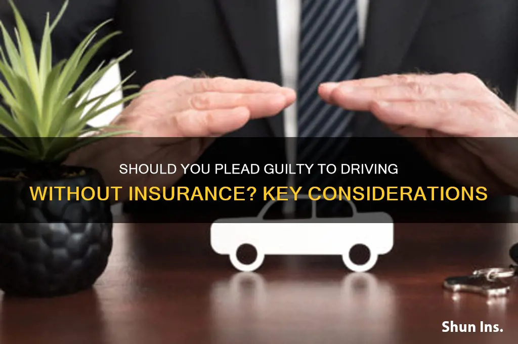 do i plead guilty to a no insurance
