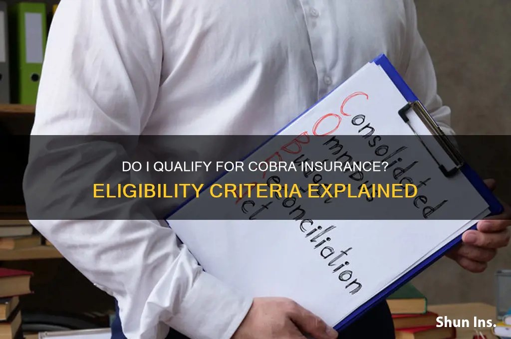 do i qualify for cobra insurance