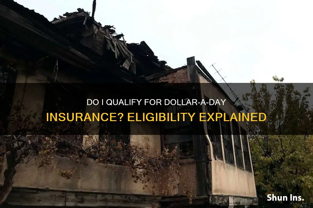 do i qualify for dollar a day insurance
