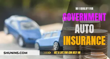 Government Auto Insurance: Understanding Eligibility and Benefits