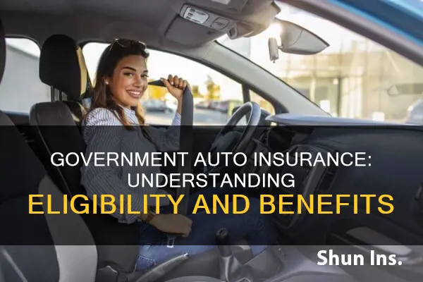 do I qualify for government auto insurance