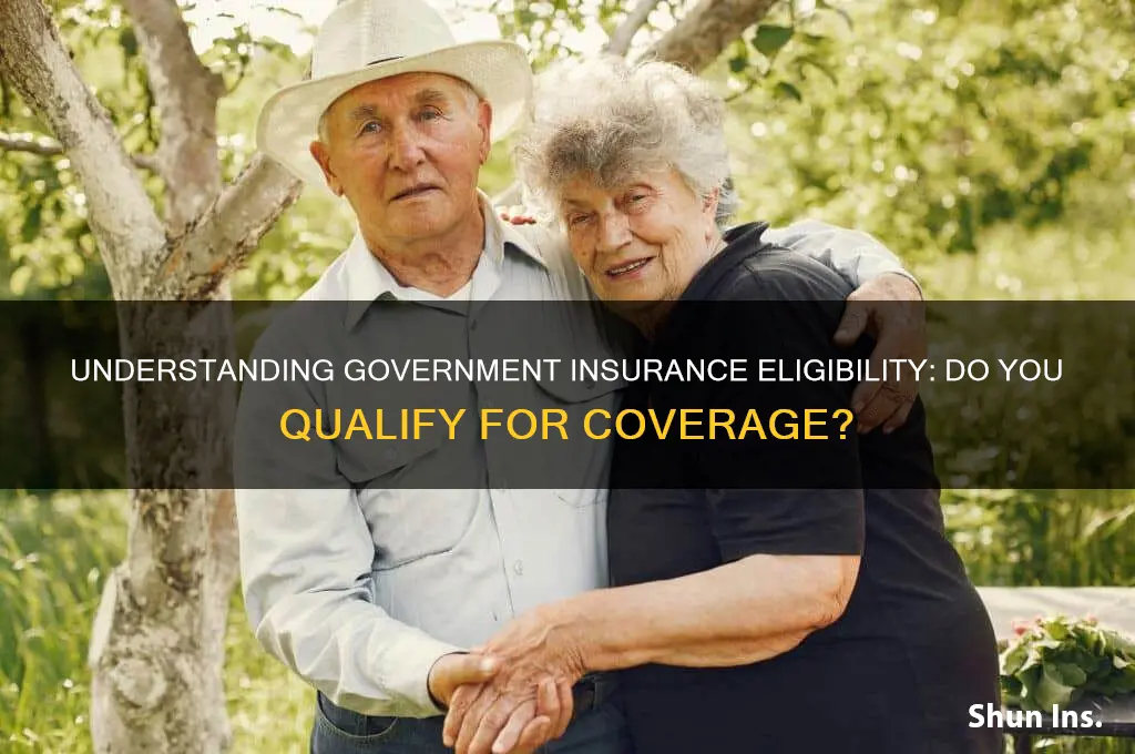 do i qualify for government insurance