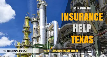 Texas Insurance Assistance: Eligibility Criteria and How to Apply