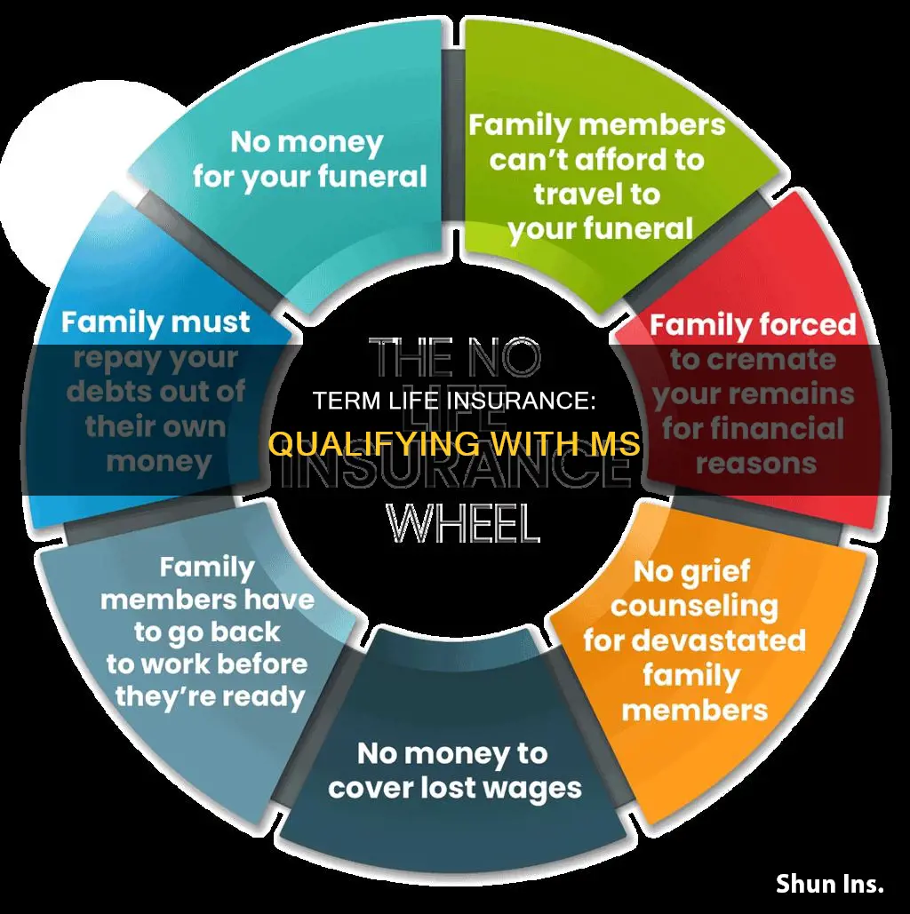 do I qualify for term life insurance with ms