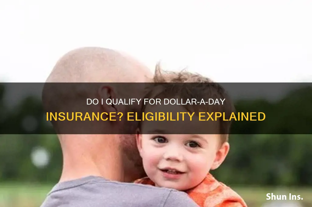 do i quality for dollar day insurance