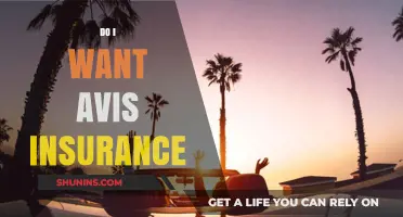 Should You Get Avis Insurance? A Comprehensive Guide to Your Options