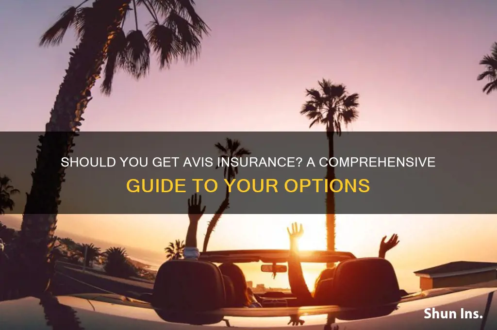 do i want avis insurance