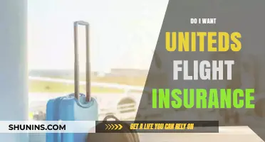 Should You Buy United's Flight Insurance? Pros, Cons, and Tips