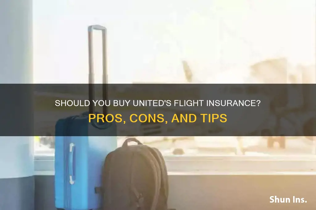 do i want uniteds flight insurance