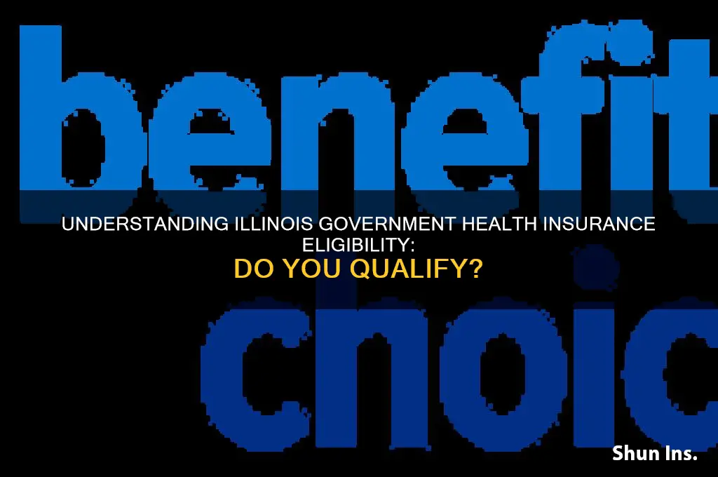 do i wualify for il governmenenr health insurance