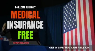 Undocumented Immigrants: Free Medical Insurance or Paid?