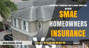 Impact Windows vs Storm Shutters: Insurance Benefits