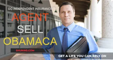 Independent Insurance Agents: Do They Sell Obamacare?